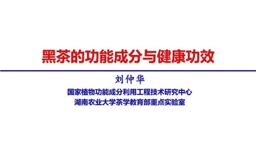 茶的功能成分與健康功效 | 茶、飲茶與健康